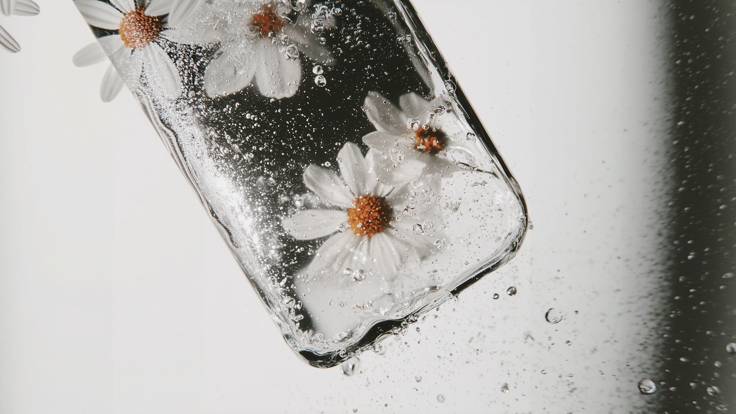Daisies and water droplets inside a clear phone-shaped glass case.